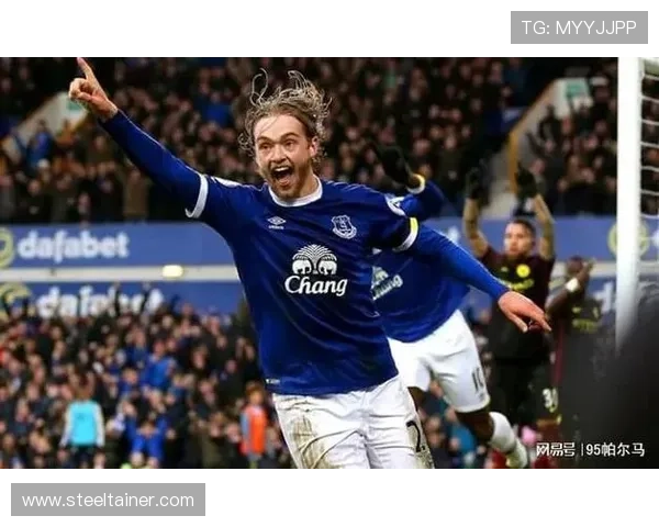 汤姆·戴维斯因伤困扰被埃弗顿解约